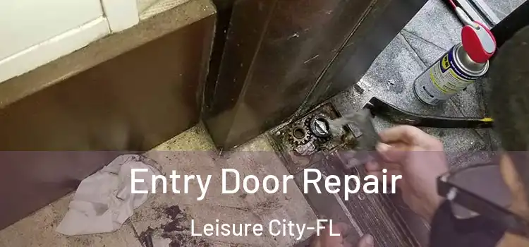 Entry Door Repair Leisure City-FL