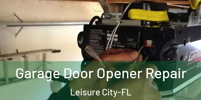 Garage Door Opener Repair Leisure City-FL