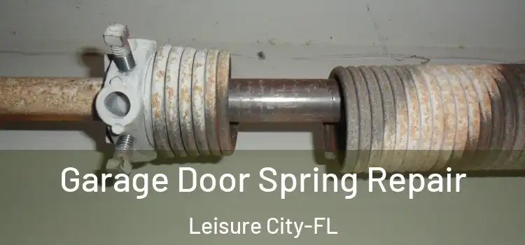 Garage Door Spring Repair Leisure City-FL