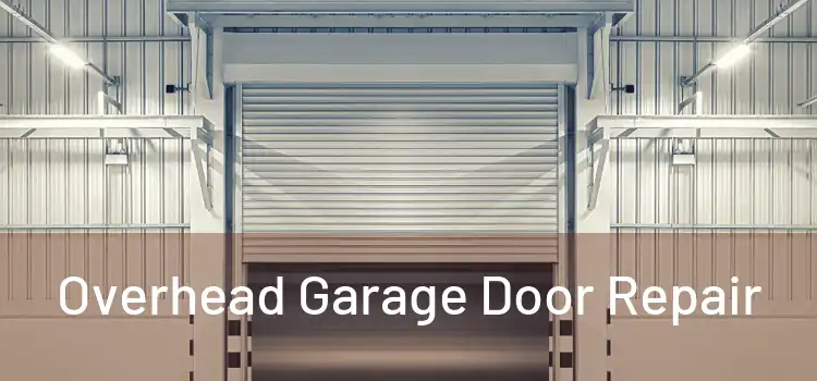 Overhead Garage Door Repair